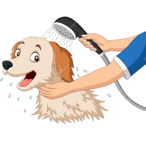 cartoon-dog-bathing-with-shower_29190-5003-removebg-preview
