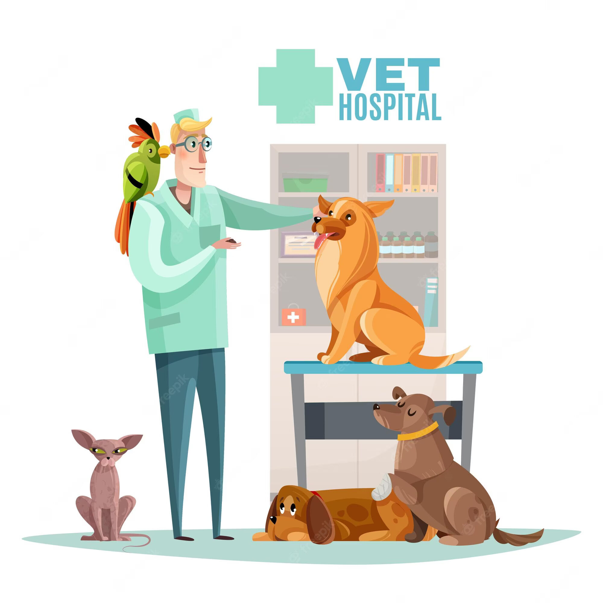 vet-hospital-composition-with-veterinarian-pets-interior-elements-flat_1284-26634